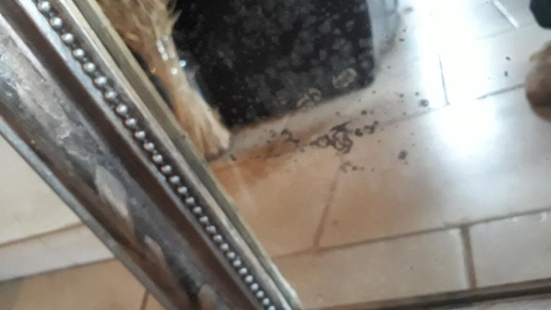 Louis Philippe style mirror