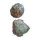 Grape drainer slurry