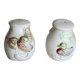 Vintage earthenware and slip salt and pepper shakers with duck motif
