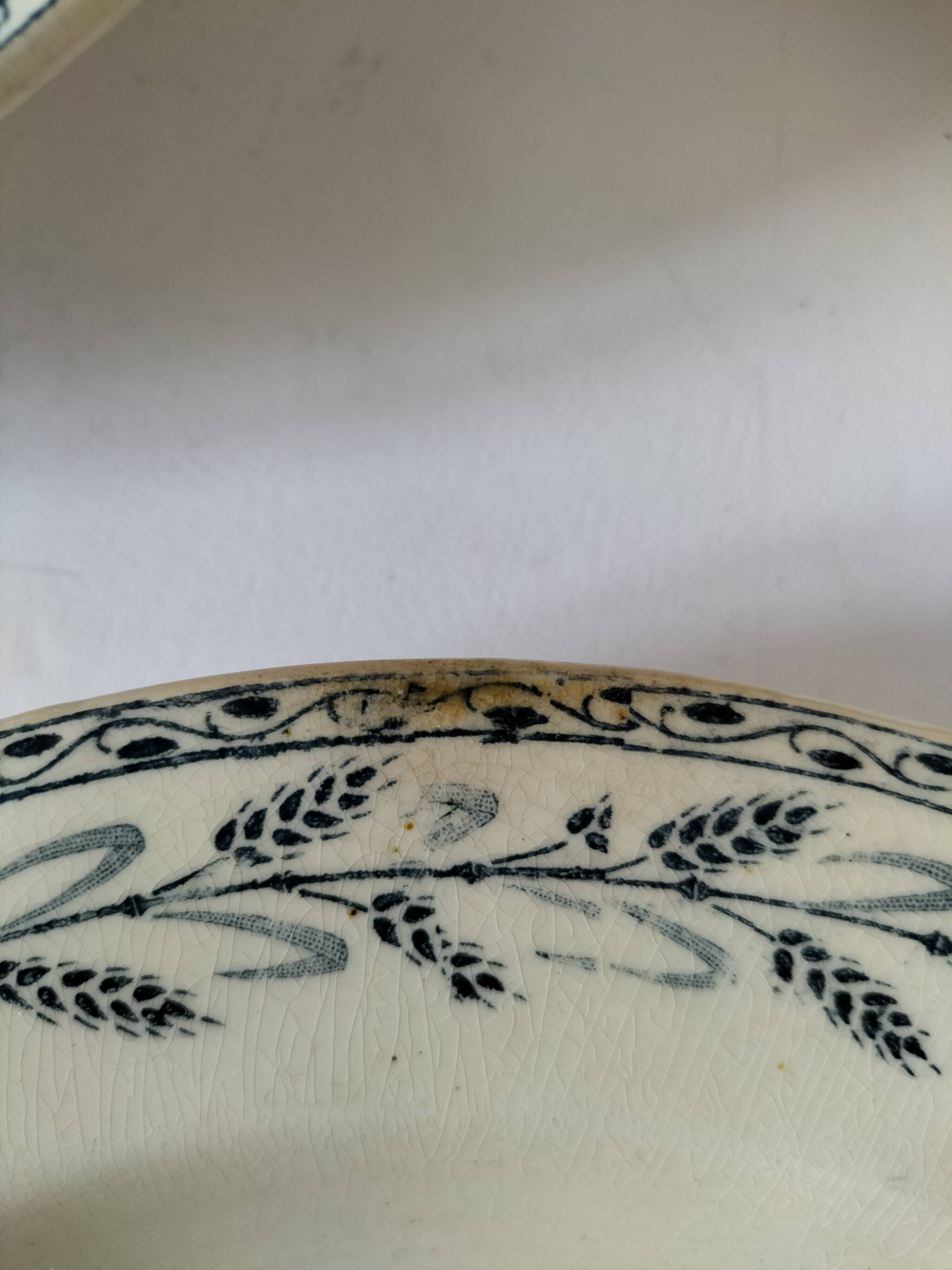 6 old E.C. Salins “Les Épis” ironstone soup plates