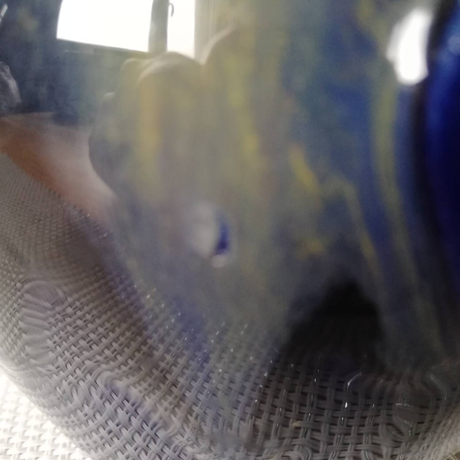 Lacheny vase