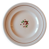 Assiettes de Longwy 10 pièces