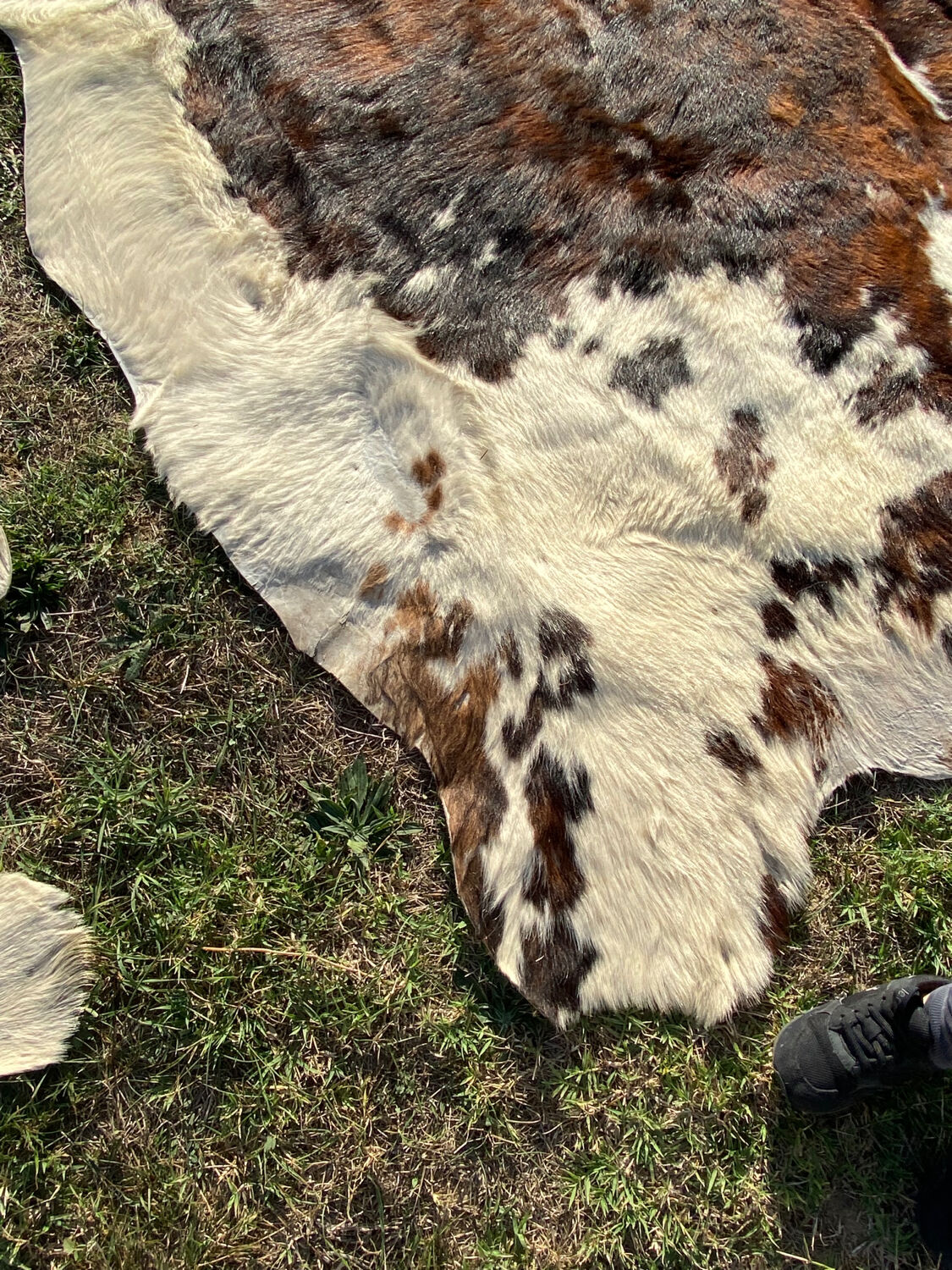 Vintage cowhide carpet