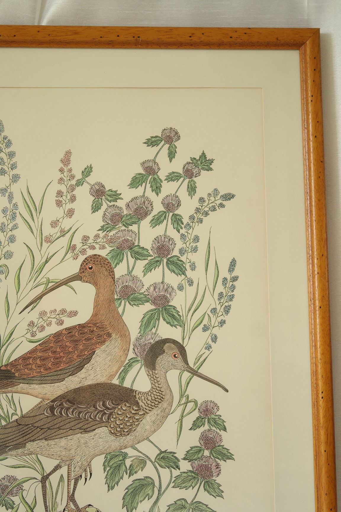 Tableau vintage aquarelle ducks of terronblan monbaly dayelle