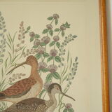Tableau vintage aquarelle ducks of terronblan monbaly dayelle