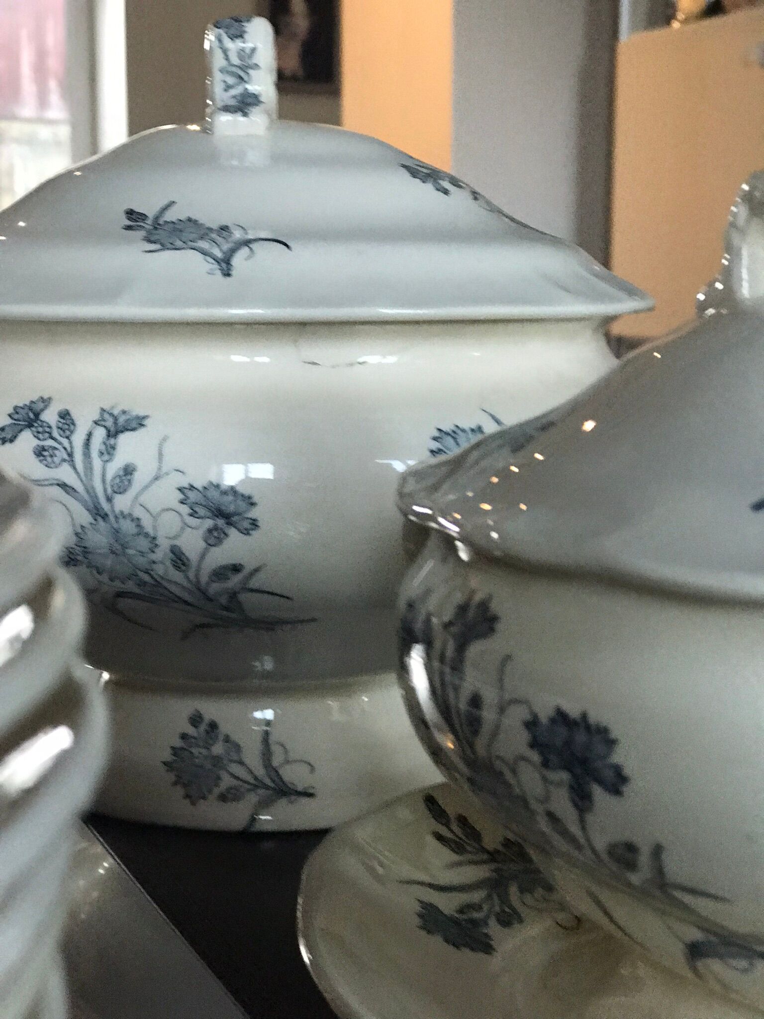 Lot de terre de fer Longchamp modèle Bluets