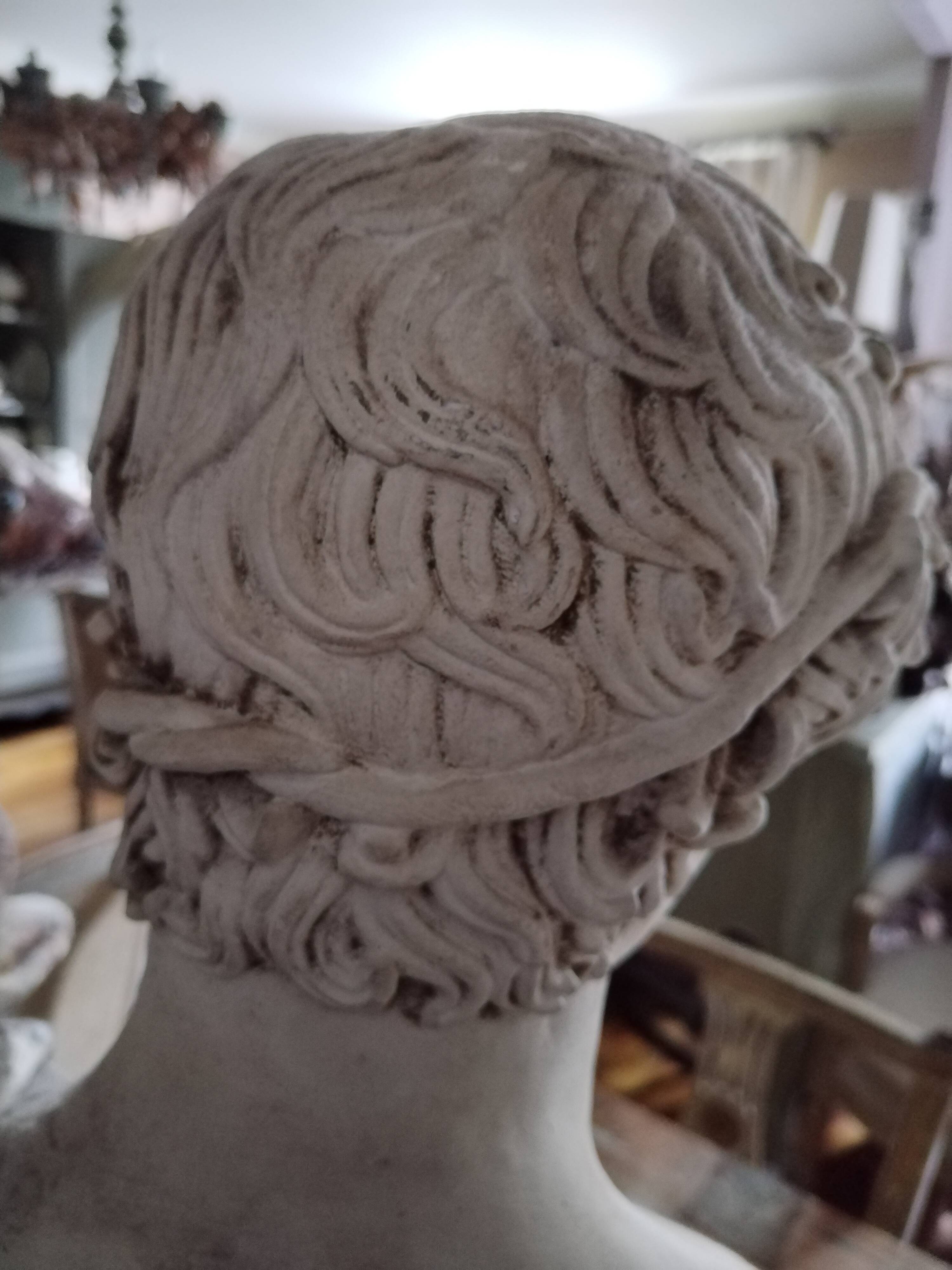 White plaster Apollo bust early 20th century