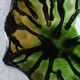Vintage green ceramic bowl signed PL IV
