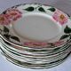 Lot 10 plates Villeroy & Boch Wild-Rose collection