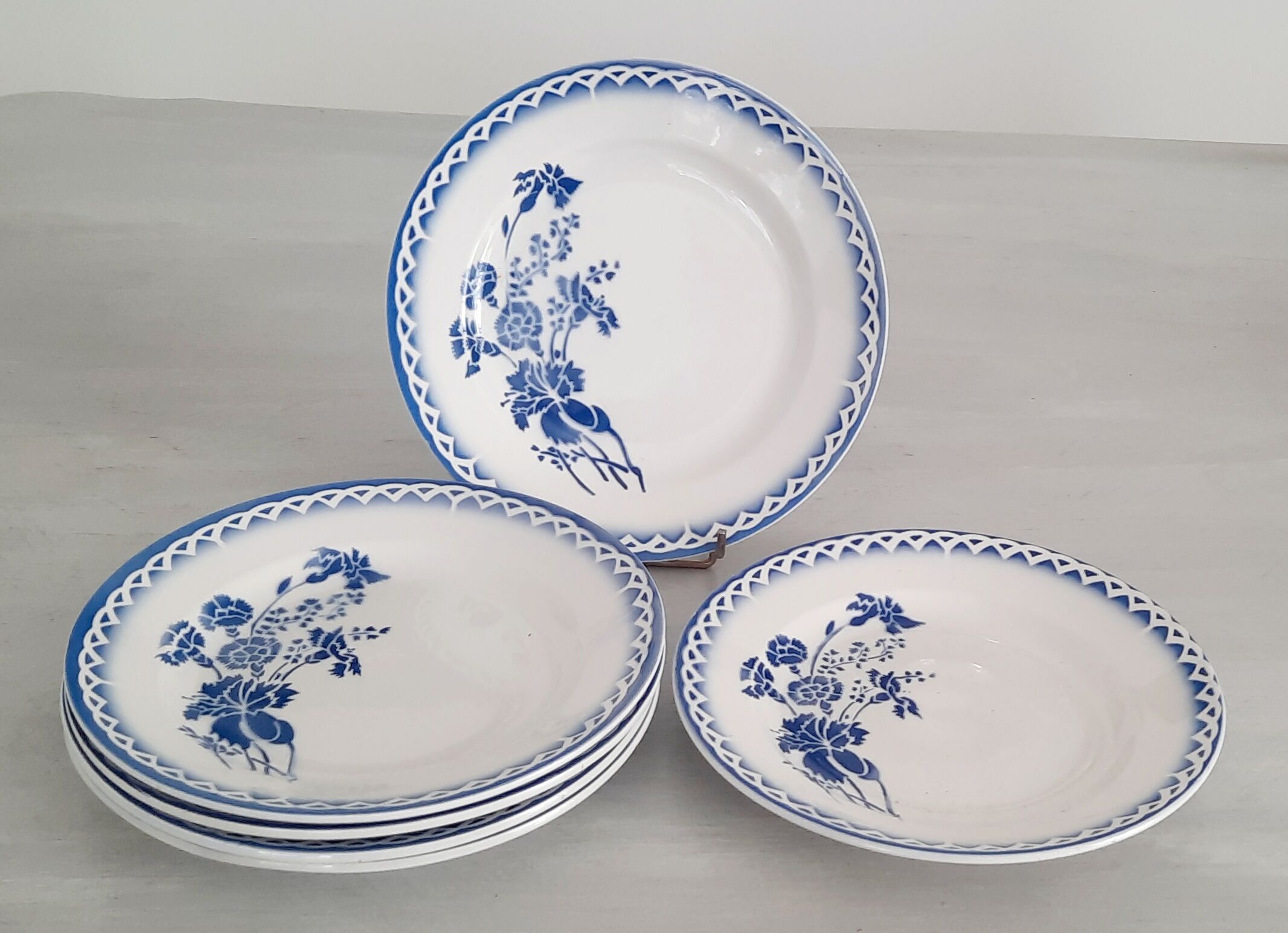 6 plates old earthenware Digoin Sarreguemines model annick vintage