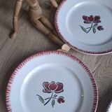 Set of 9 Badonviller flower dinner plates