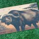 Sand painting on wood panel African buffaloes Artist Dm3 (Demba Mbengue)