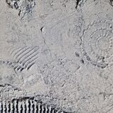Tableau peinture abstraite monochrome minimaliste blanc
