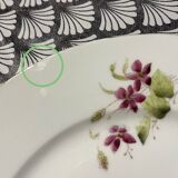 Set of 8 floral porcelain plates from the late 19th century.