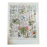 Set of 3 lithographs