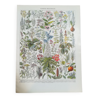 Set of 3 lithographs