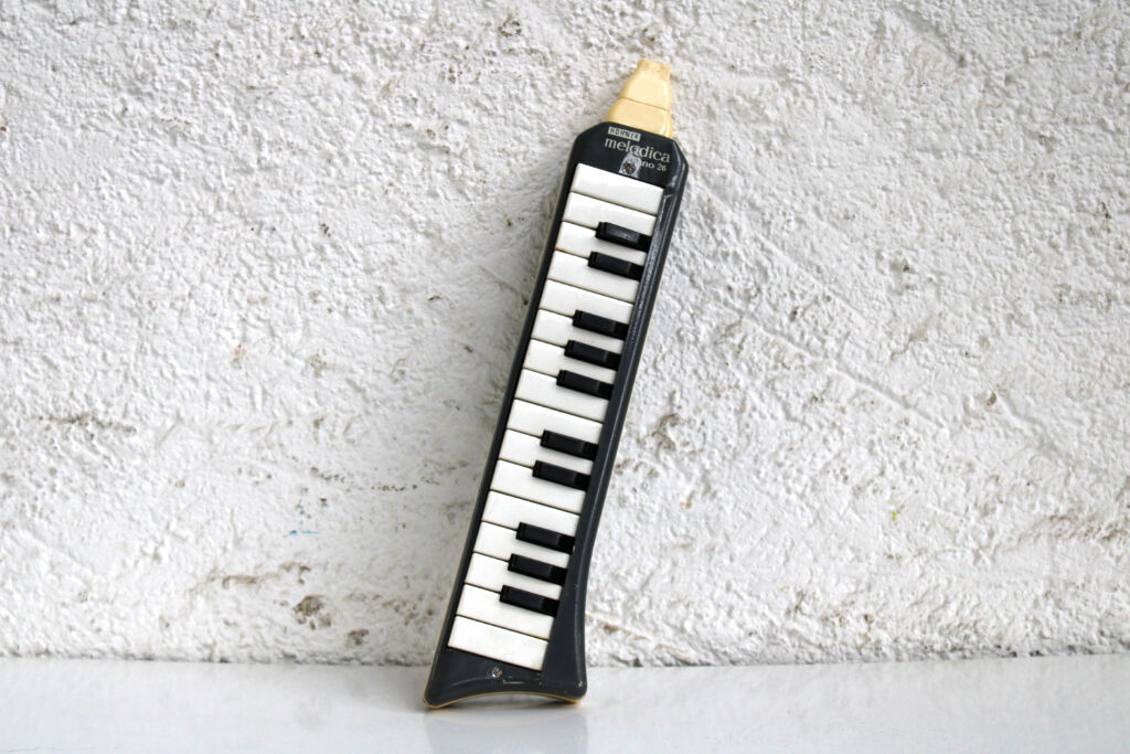 Musical instrument Melodica