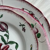 5 plates with colorful Sarreguemines floral designs.
