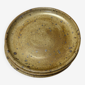 Set of 4 stoneware plates