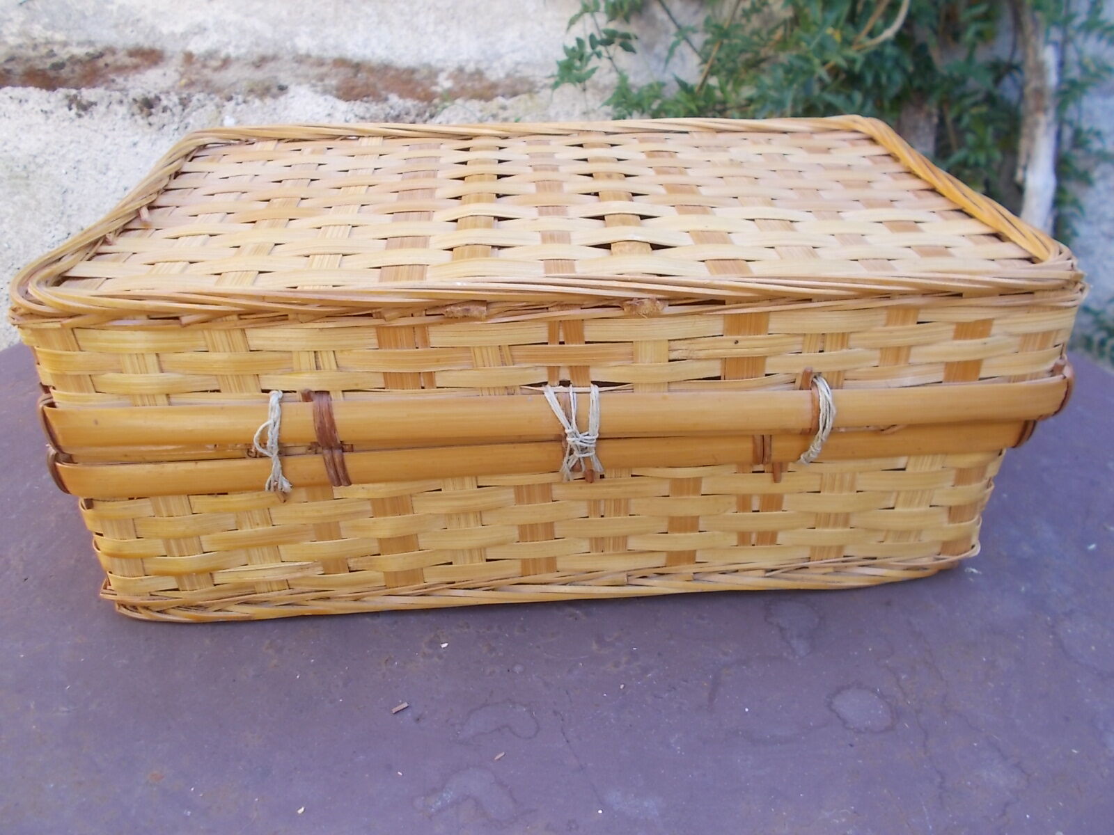 Valise osier