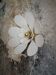 Applique murale fleur composée de pétales en rotin et broderie anglaise