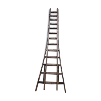 Old double ladder Wienese Utrecht