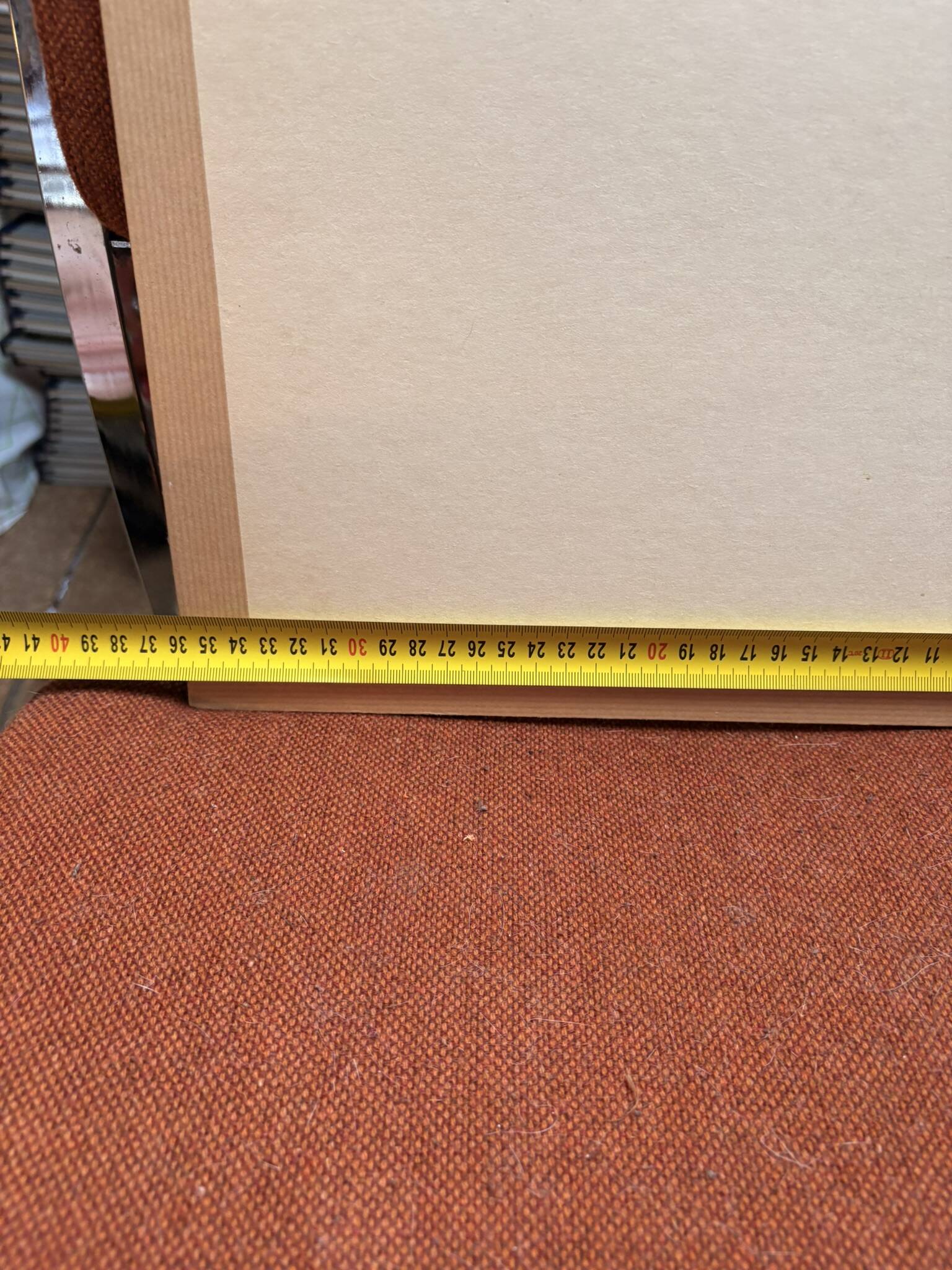 Gravure 19th Century Anatomy Face Woman ANGELO ZAFFONATO "Five Senses"