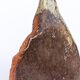 Organic stoneware vase-sculpture signed