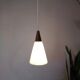 Louis Kalff pendant lamp