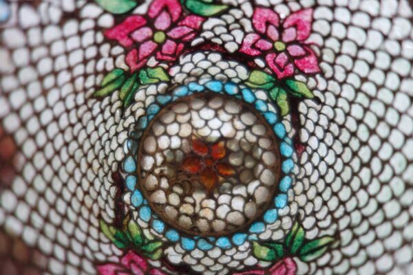 Paire de bols vintage Plique-à-jour émail cloisonné, Chine