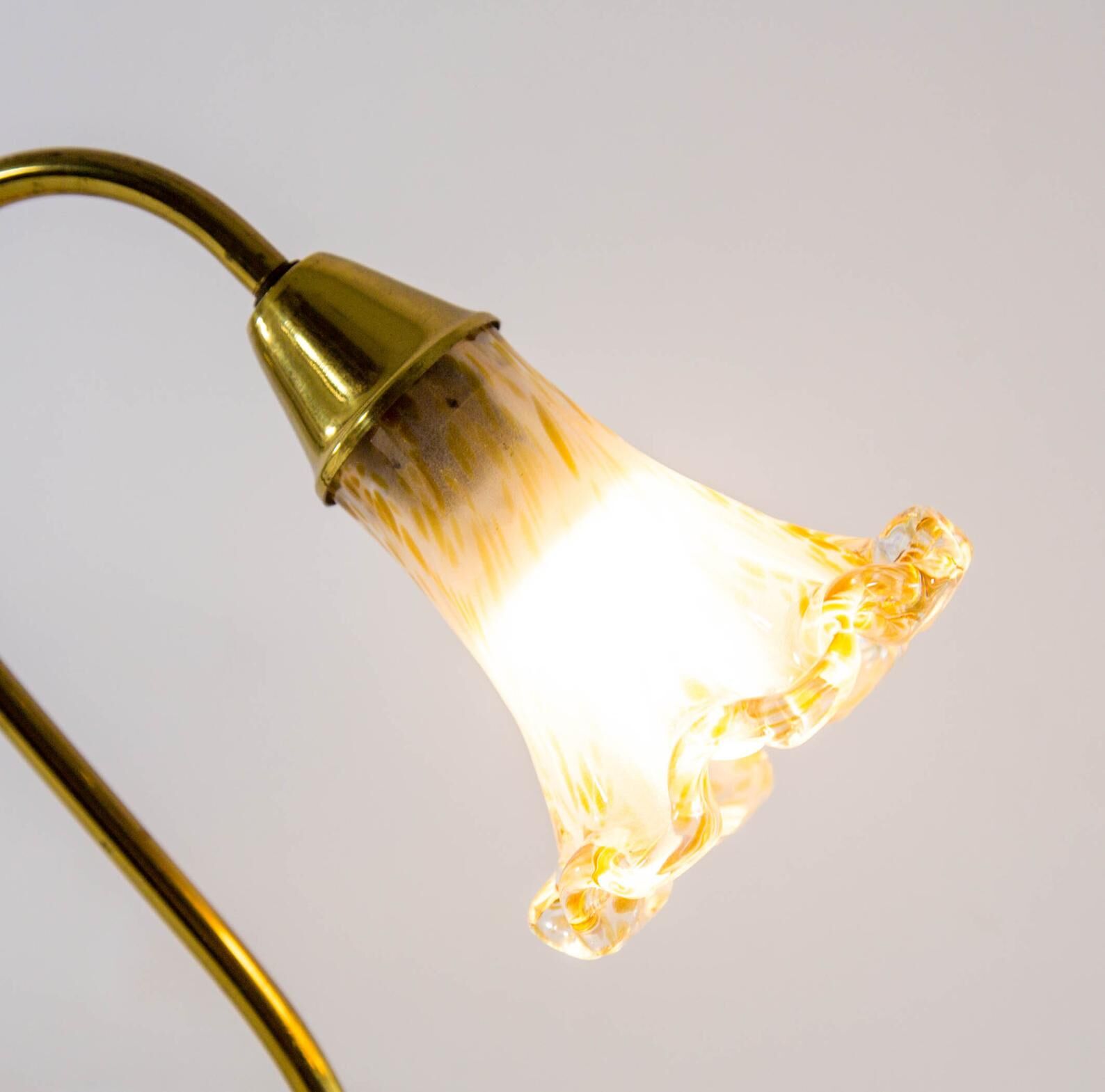 Murano glass lampshade table lampshade and brass base