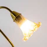Murano glass lampshade table lampshade and brass base