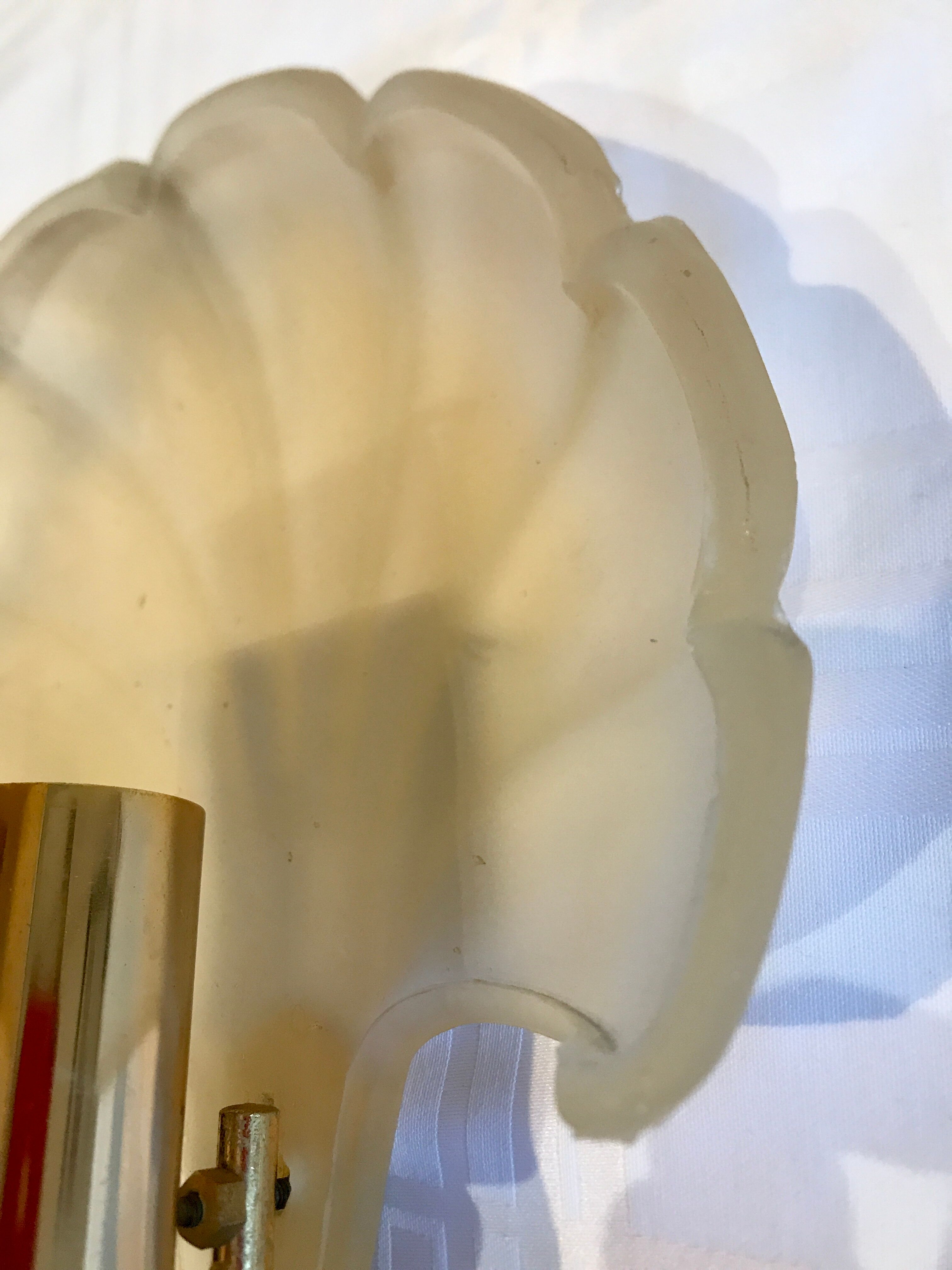 Pair of shell sconces