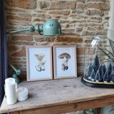 Cadre lithographie