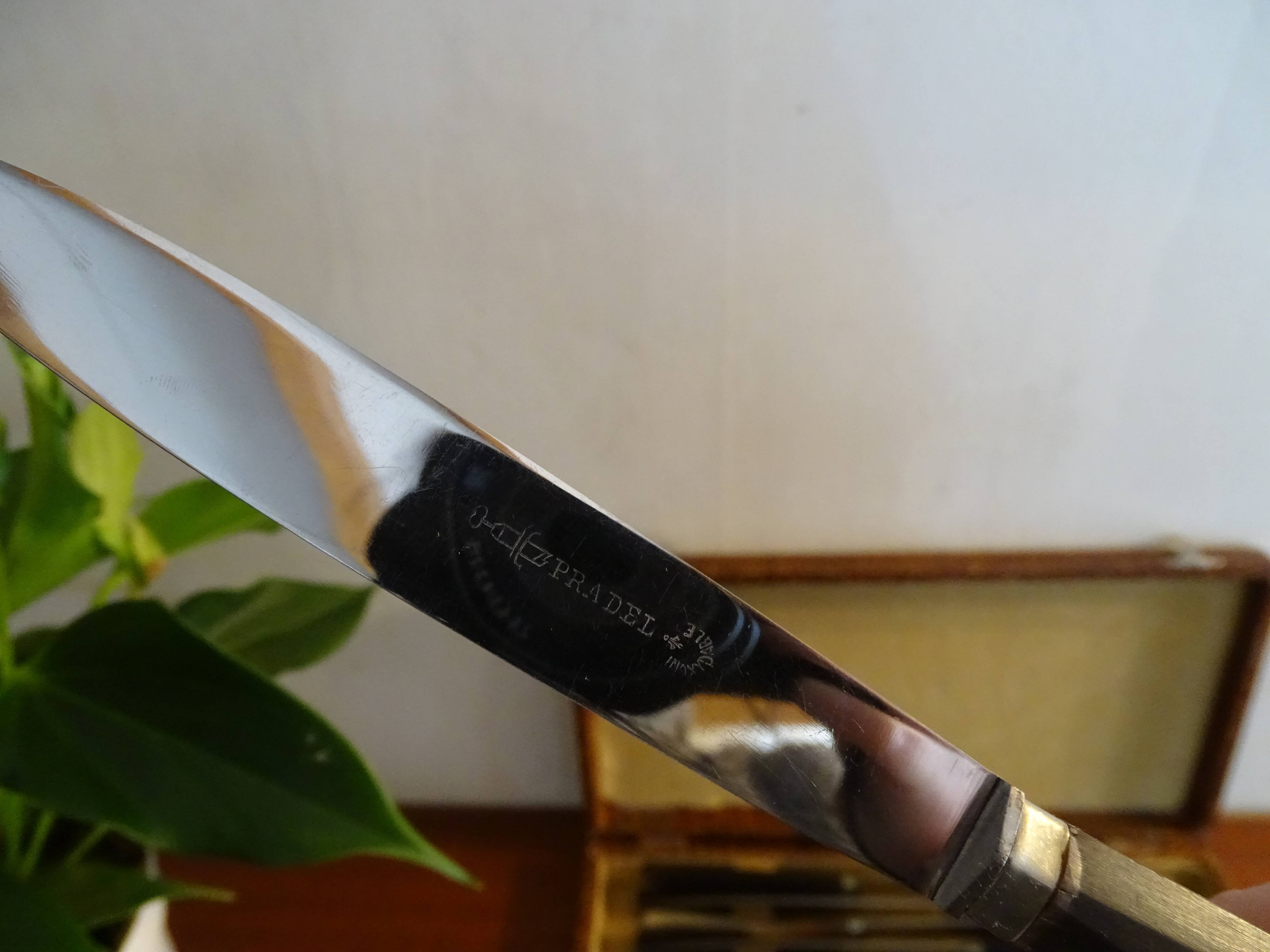 12 vintage dessert knives Pradel horn sleeves in case