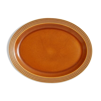 Dish