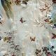 asparagus dish in dabbling, Asparagus, Flowers, Butterflies, Adderley's English production.