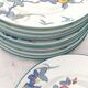 10 flat plates in Limoges porcelain - Haviland