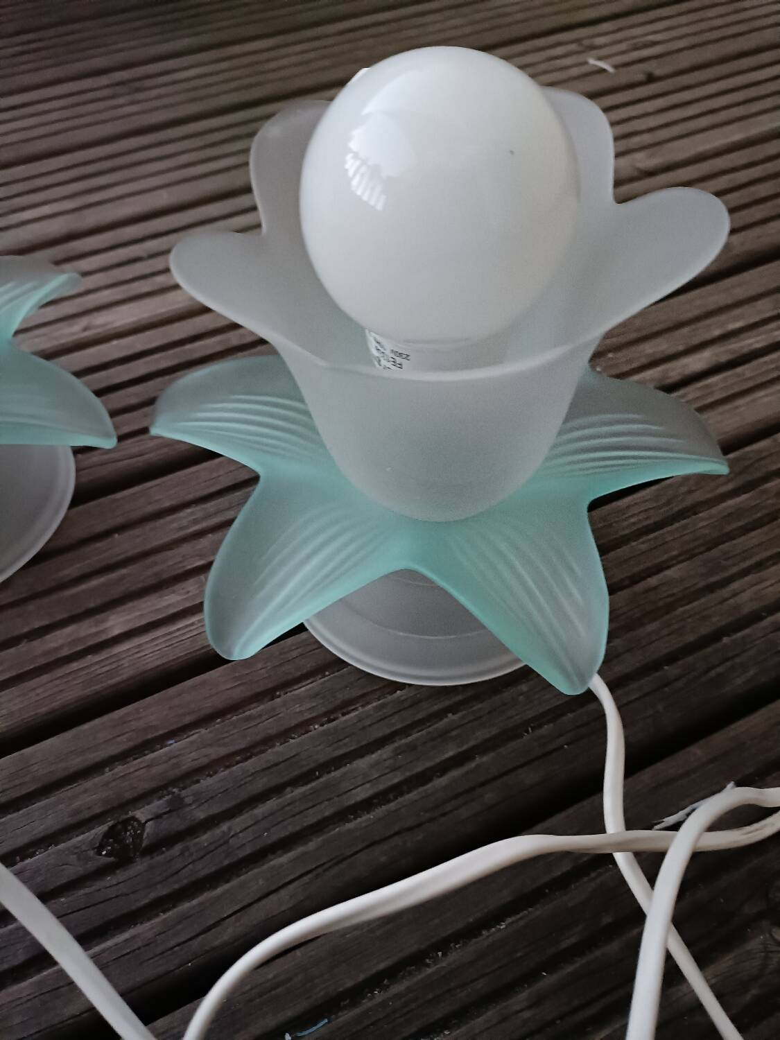 Pair of vintage flower lamps