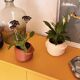 Nova Planter Burnt Ochre