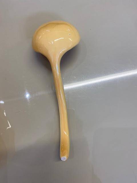 Pumpkin tureen with ladle