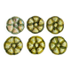 Ensemble de 6 assiettes à huîtres Vallauris
