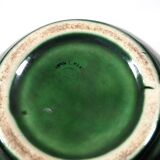 Reptile Pitcher Vase