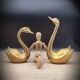 Pair brass swans