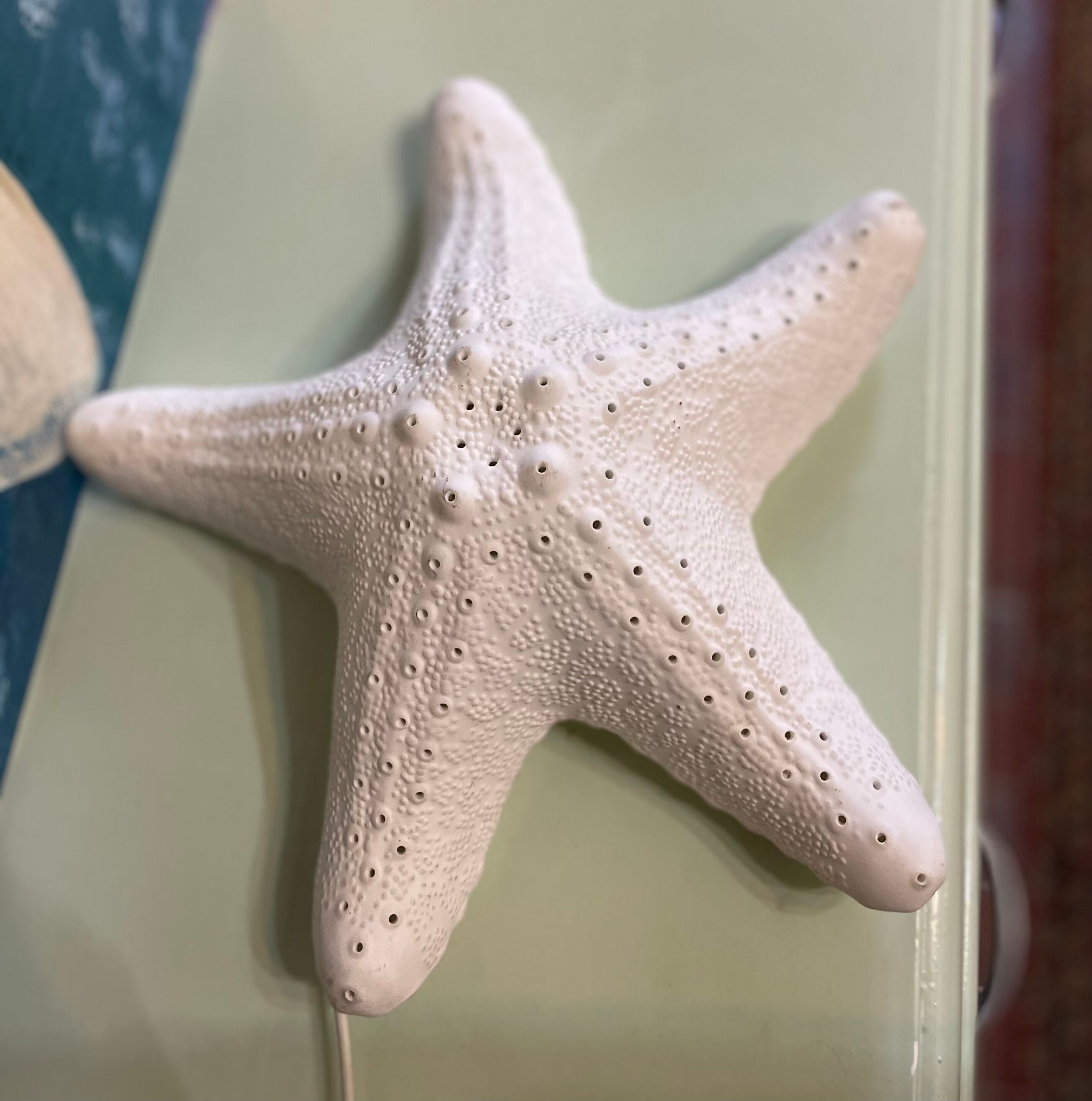 Porcelain wall lamp starfish design