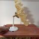 Vintage tilting wall light in gold Clichy glass