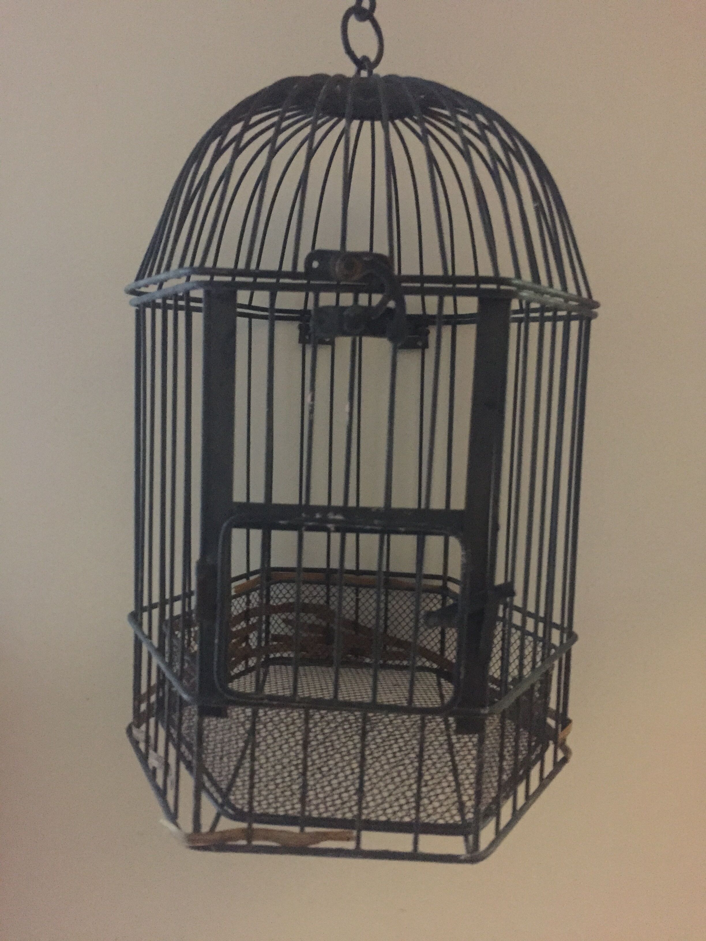 Cage à oiseaux