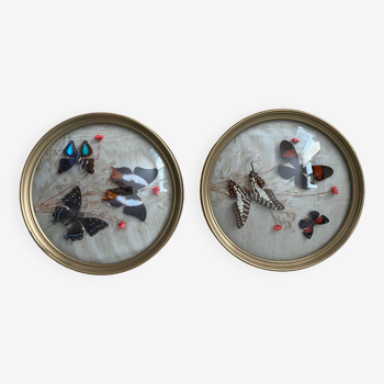 Pair of curved glass frames with flowers and butterflies