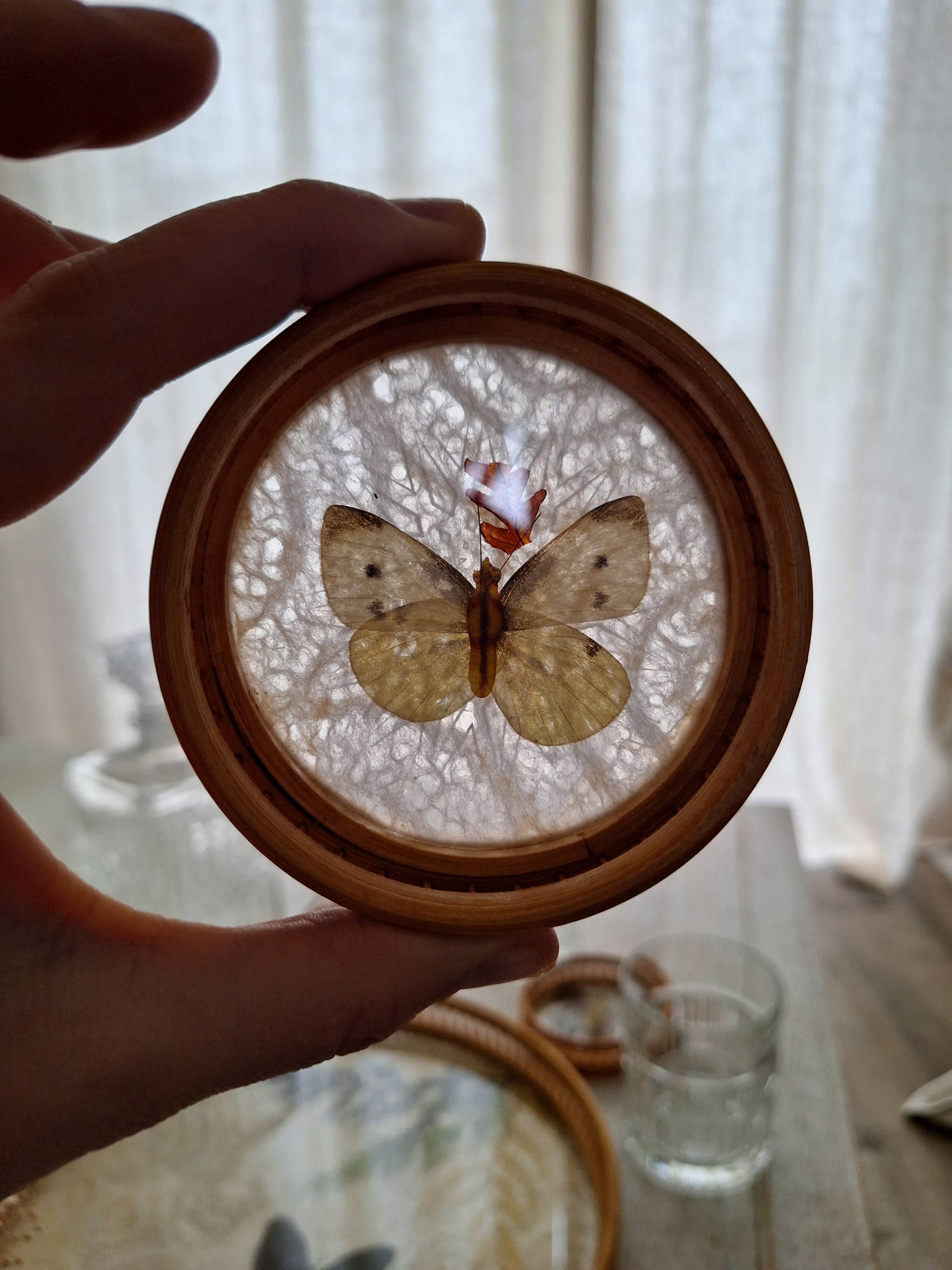 Plateau Et Dessous De Verres Vintage En Bambou, Motif Papillons