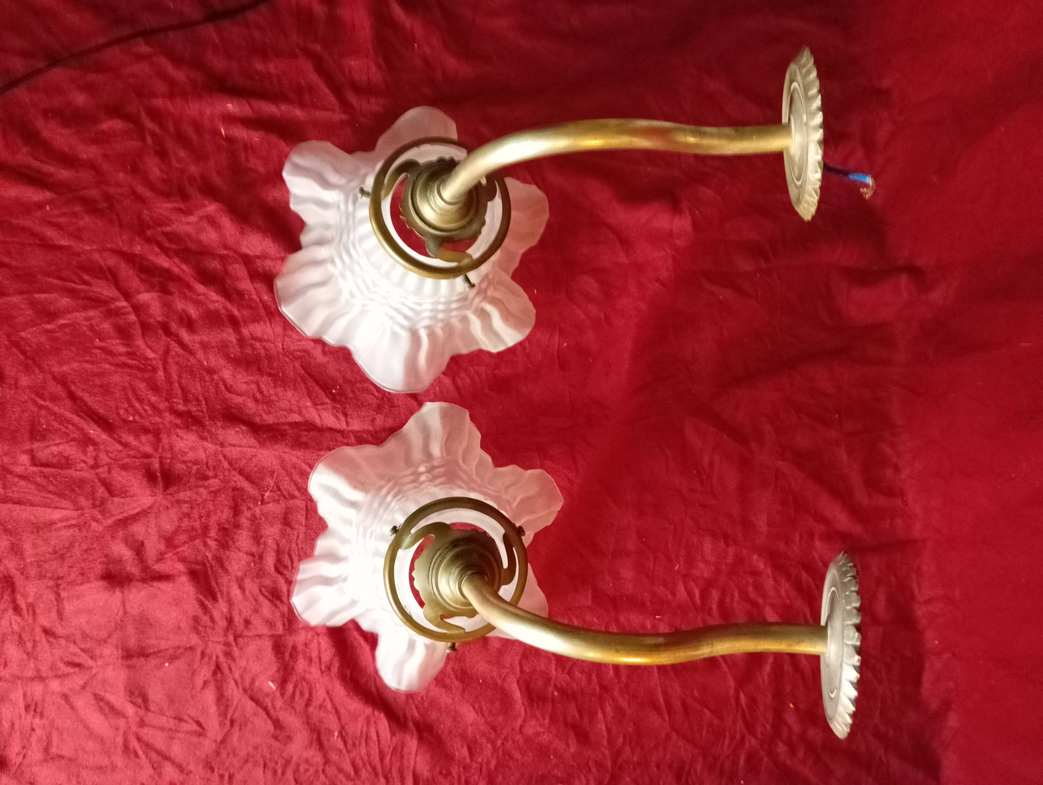 Paire d'appliques avec tulipes